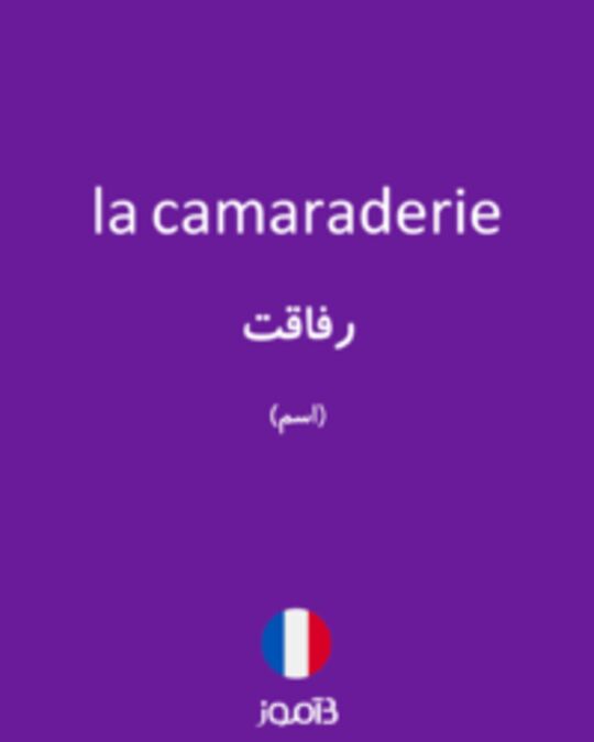  تصویر la camaraderie - دیکشنری انگلیسی بیاموز