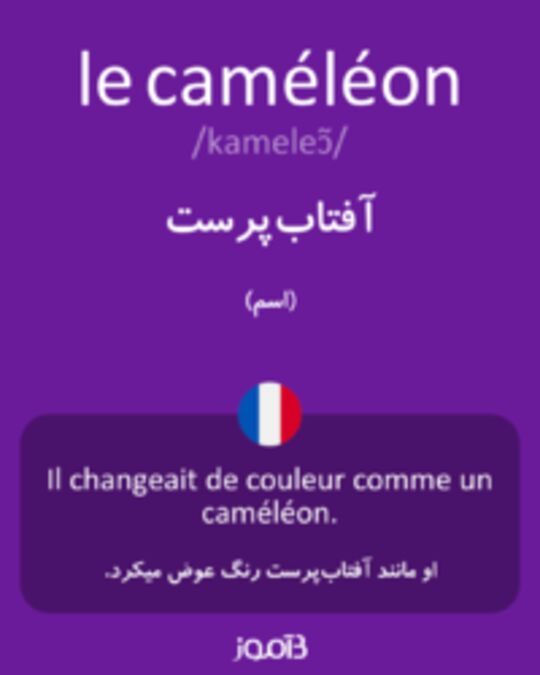  تصویر le caméléon - دیکشنری انگلیسی بیاموز