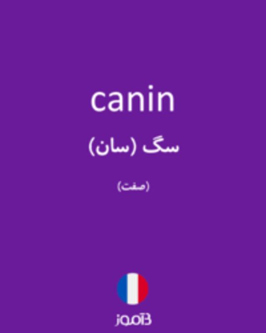  تصویر canin - دیکشنری انگلیسی بیاموز