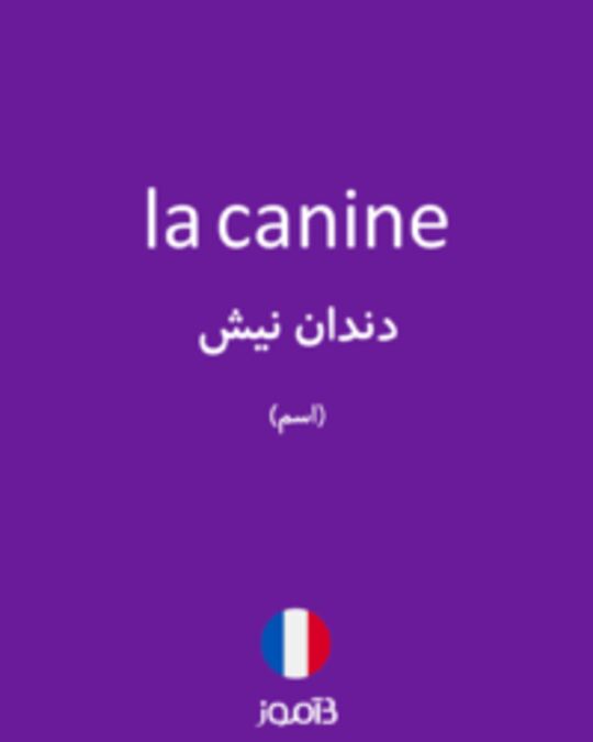  تصویر la canine - دیکشنری انگلیسی بیاموز