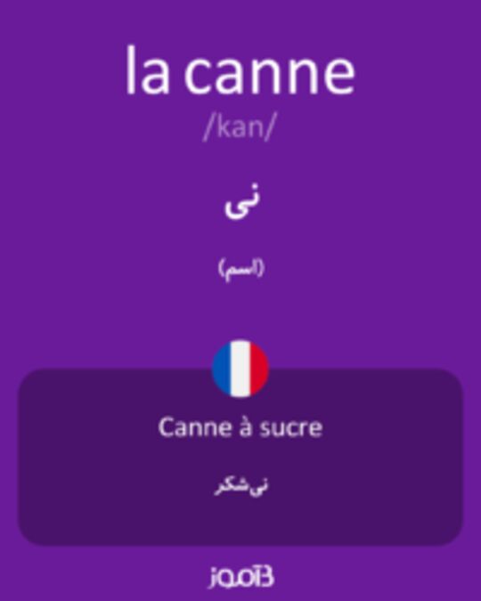  تصویر la canne - دیکشنری انگلیسی بیاموز