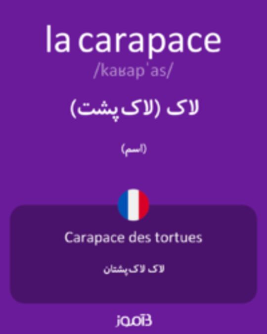  تصویر la carapace - دیکشنری انگلیسی بیاموز