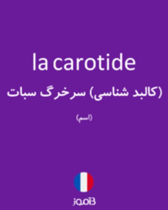  تصویر la carotide - دیکشنری انگلیسی بیاموز