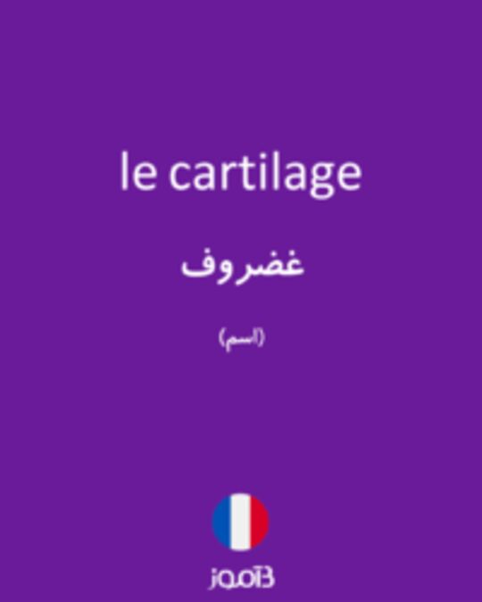  تصویر le cartilage - دیکشنری انگلیسی بیاموز