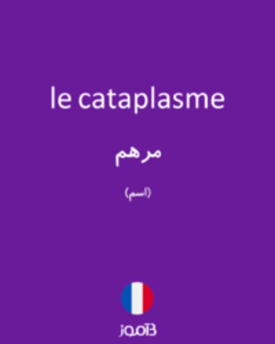  تصویر le cataplasme - دیکشنری انگلیسی بیاموز