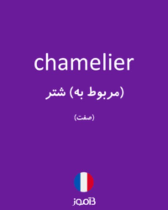  تصویر chamelier - دیکشنری انگلیسی بیاموز