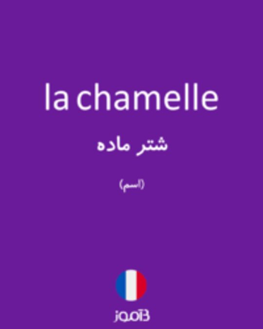  تصویر la chamelle - دیکشنری انگلیسی بیاموز