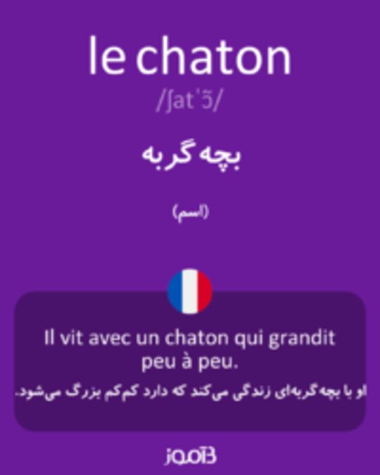  تصویر le chaton - دیکشنری انگلیسی بیاموز