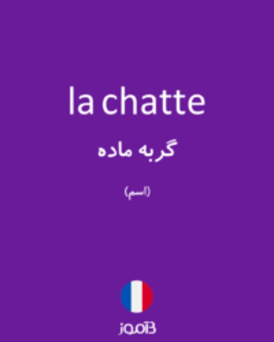  تصویر la chatte - دیکشنری انگلیسی بیاموز