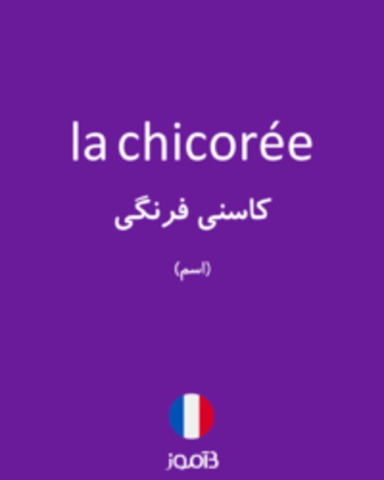  تصویر la chicorée - دیکشنری انگلیسی بیاموز