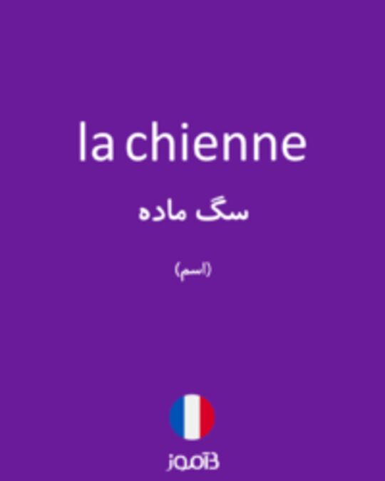  تصویر la chienne - دیکشنری انگلیسی بیاموز