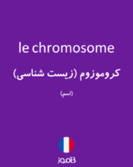  تصویر le chromosome - دیکشنری انگلیسی بیاموز