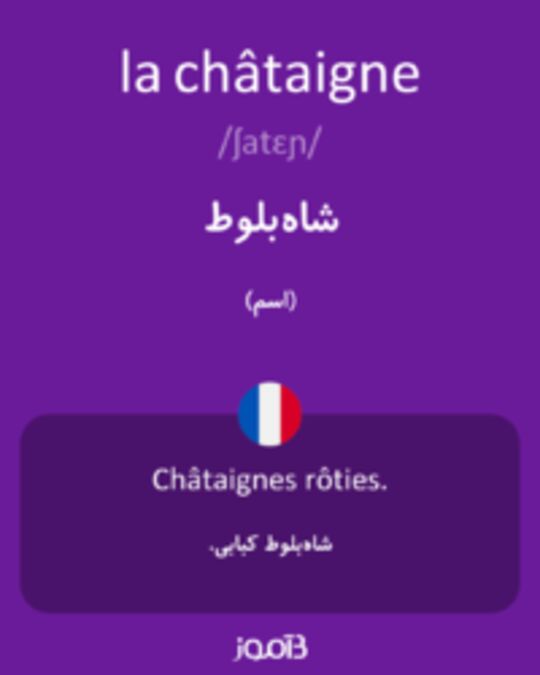  تصویر la châtaigne - دیکشنری انگلیسی بیاموز