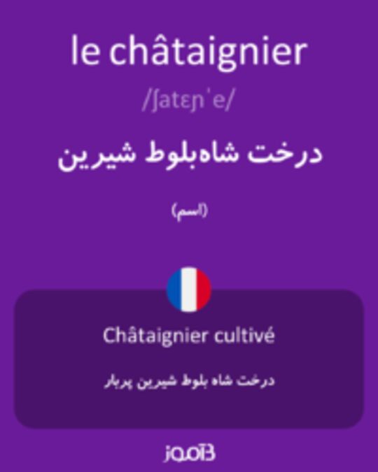  تصویر le châtaignier - دیکشنری انگلیسی بیاموز