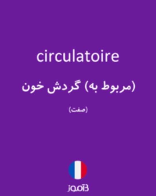  تصویر circulatoire - دیکشنری انگلیسی بیاموز