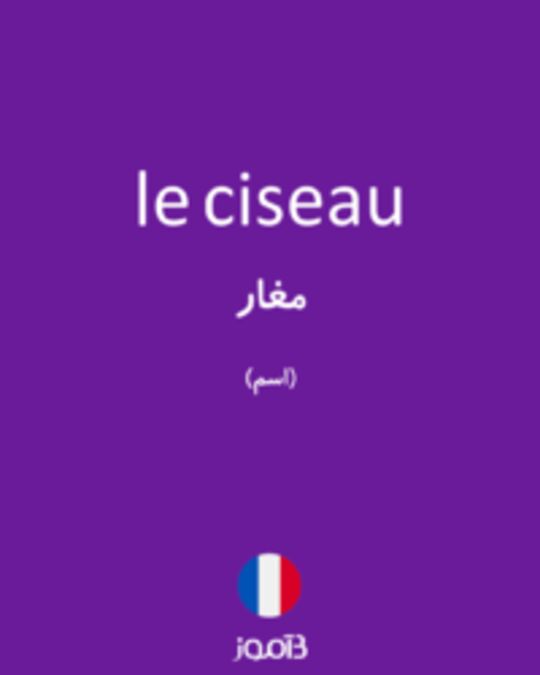  تصویر le ciseau - دیکشنری انگلیسی بیاموز