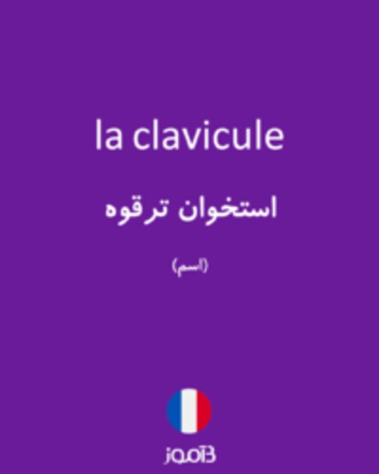  تصویر la clavicule - دیکشنری انگلیسی بیاموز