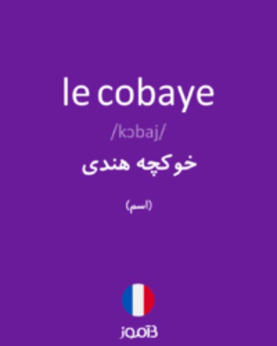  تصویر le cobaye - دیکشنری انگلیسی بیاموز