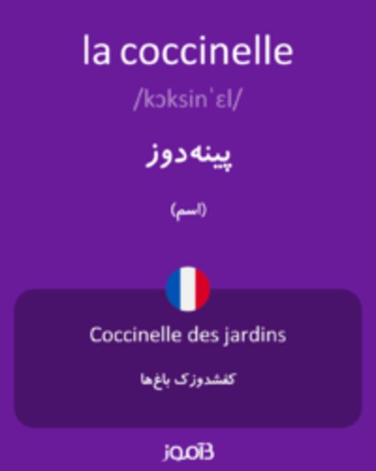  تصویر la coccinelle - دیکشنری انگلیسی بیاموز