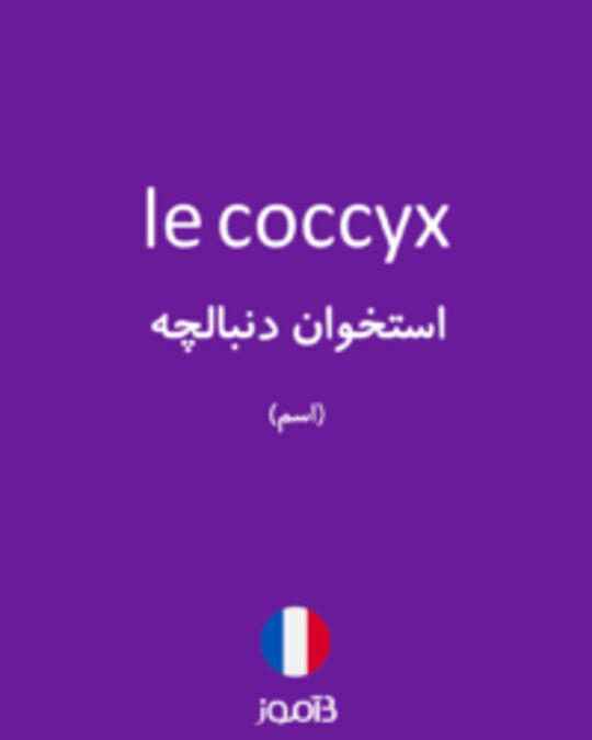  تصویر le coccyx - دیکشنری انگلیسی بیاموز