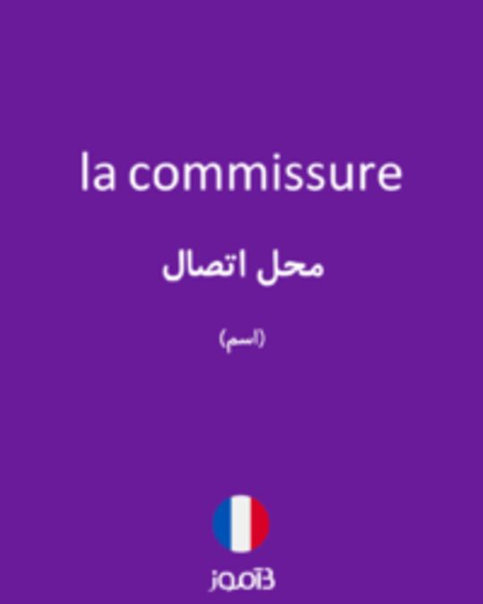  تصویر la commissure - دیکشنری انگلیسی بیاموز