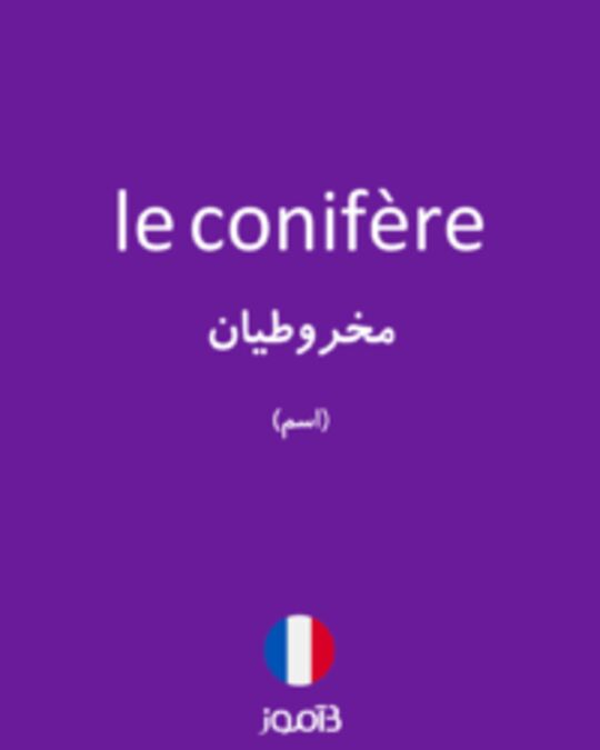  تصویر le conifère - دیکشنری انگلیسی بیاموز