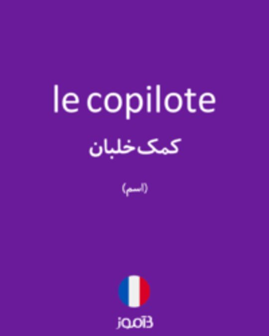  تصویر le copilote - دیکشنری انگلیسی بیاموز