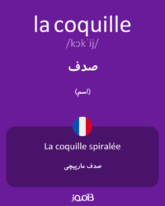  تصویر la coquille - دیکشنری انگلیسی بیاموز