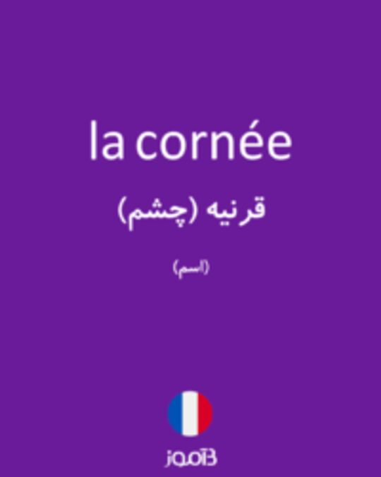  تصویر la cornée - دیکشنری انگلیسی بیاموز