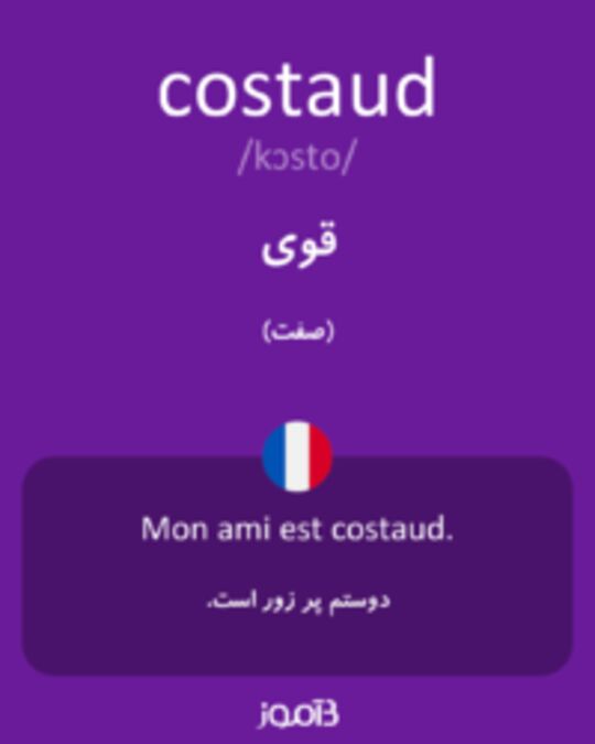  تصویر costaud - دیکشنری انگلیسی بیاموز