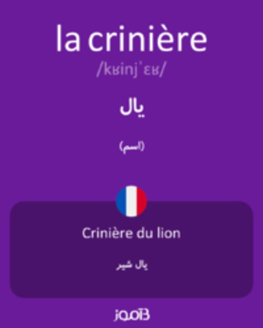  تصویر la crinière - دیکشنری انگلیسی بیاموز