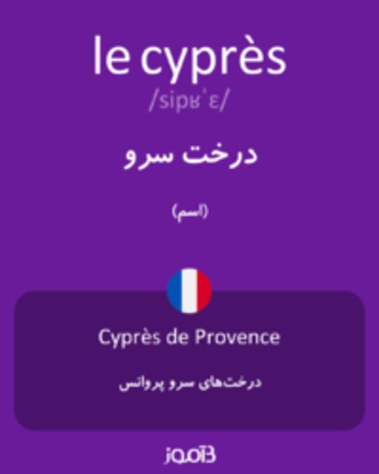  تصویر le cyprès - دیکشنری انگلیسی بیاموز