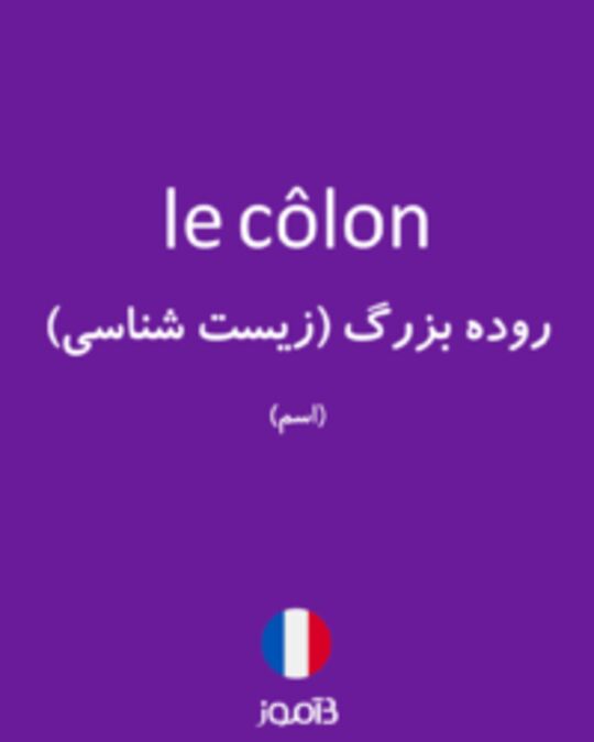  تصویر le côlon - دیکشنری انگلیسی بیاموز