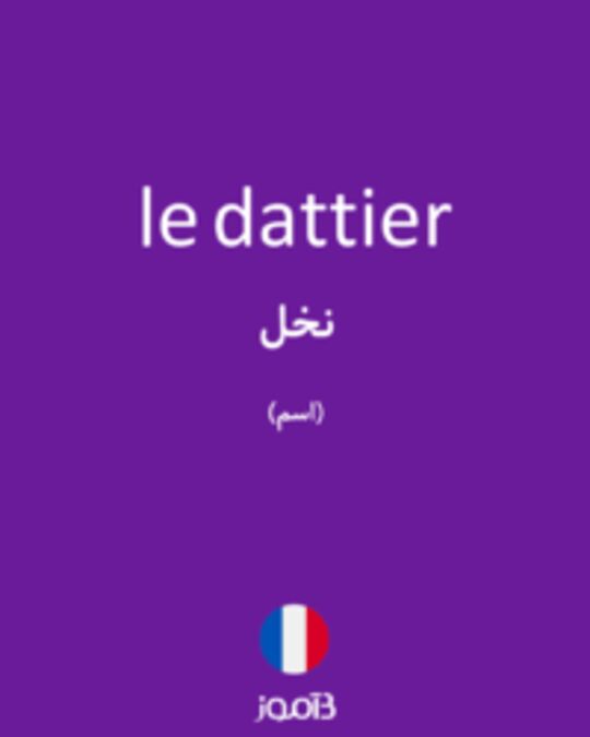  تصویر le dattier - دیکشنری انگلیسی بیاموز