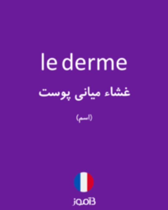  تصویر le derme - دیکشنری انگلیسی بیاموز