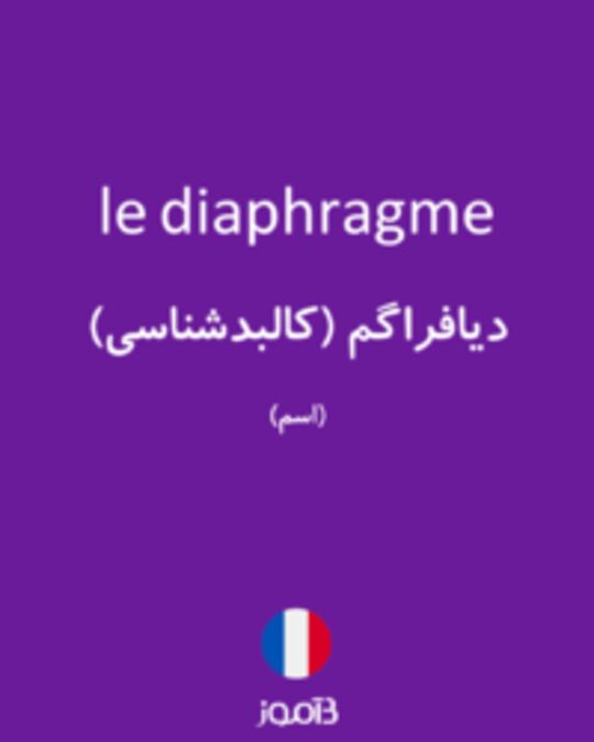  تصویر le diaphragme - دیکشنری انگلیسی بیاموز