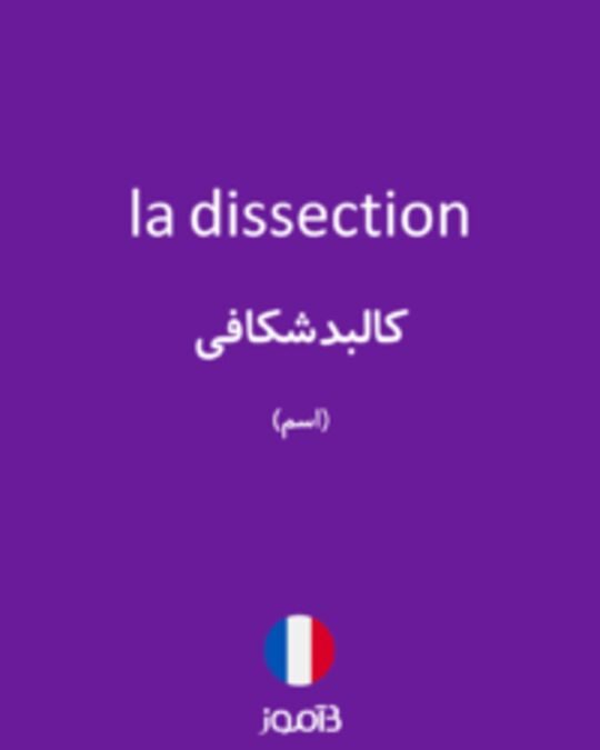  تصویر la dissection - دیکشنری انگلیسی بیاموز