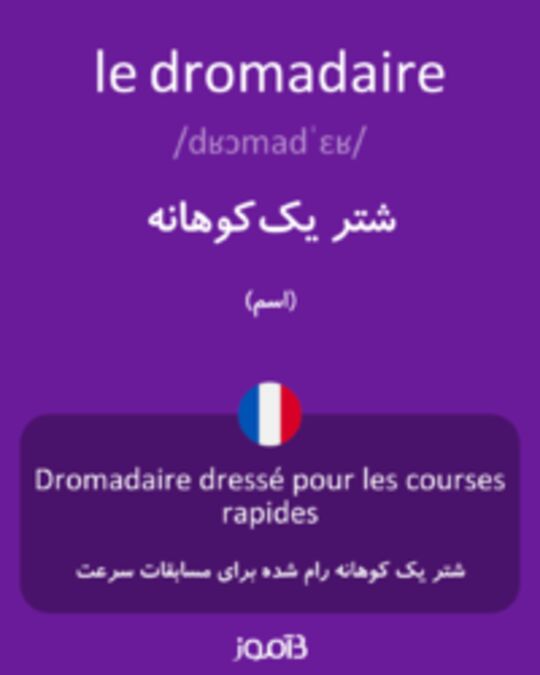  تصویر le dromadaire - دیکشنری انگلیسی بیاموز