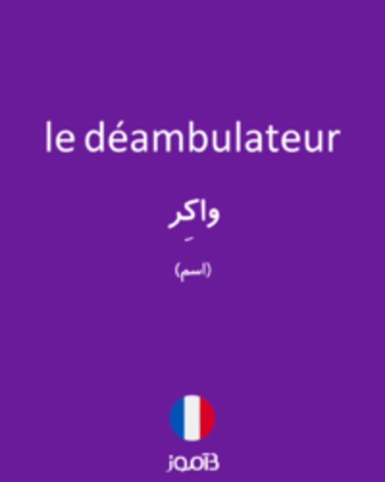  تصویر le déambulateur - دیکشنری انگلیسی بیاموز