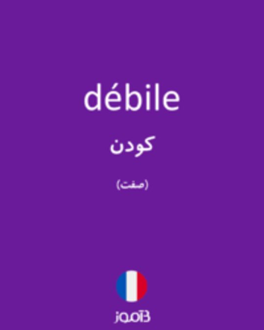  تصویر débile - دیکشنری انگلیسی بیاموز