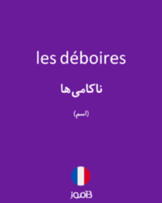  تصویر les déboires - دیکشنری انگلیسی بیاموز