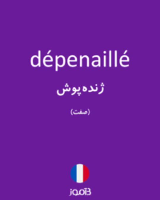  تصویر dépenaillé - دیکشنری انگلیسی بیاموز