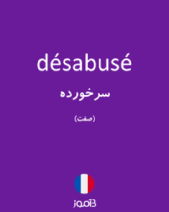  تصویر désabusé - دیکشنری انگلیسی بیاموز