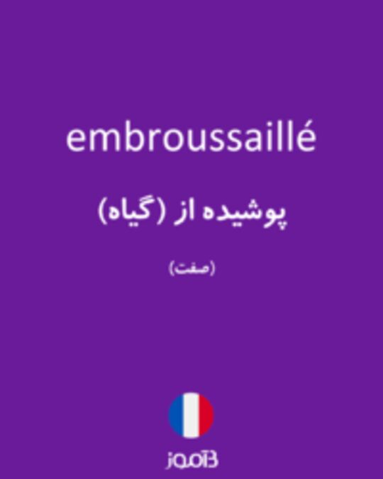  تصویر embroussaillé - دیکشنری انگلیسی بیاموز