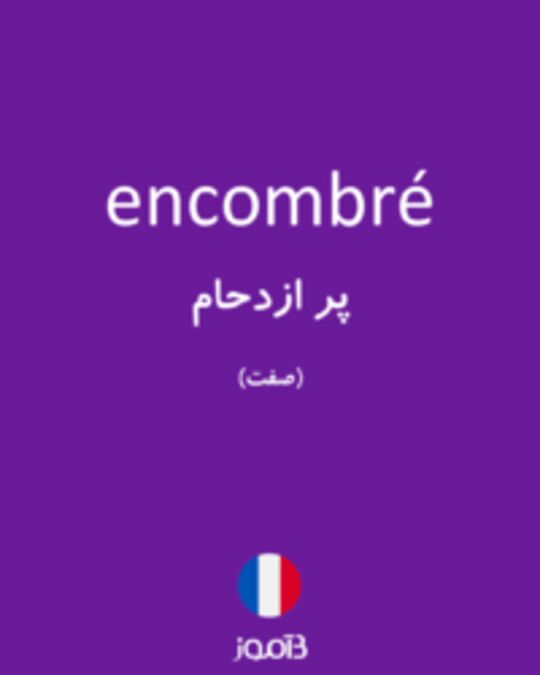  تصویر encombré - دیکشنری انگلیسی بیاموز