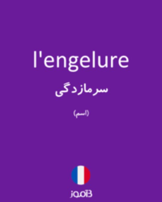  تصویر l'engelure - دیکشنری انگلیسی بیاموز