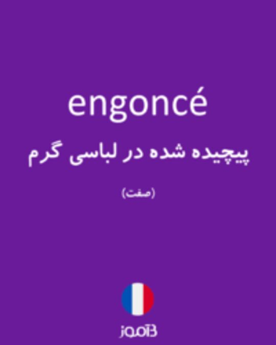  تصویر engoncé - دیکشنری انگلیسی بیاموز