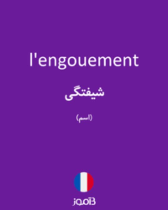  تصویر l'engouement - دیکشنری انگلیسی بیاموز