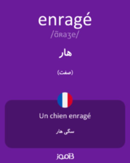  تصویر enragé - دیکشنری انگلیسی بیاموز