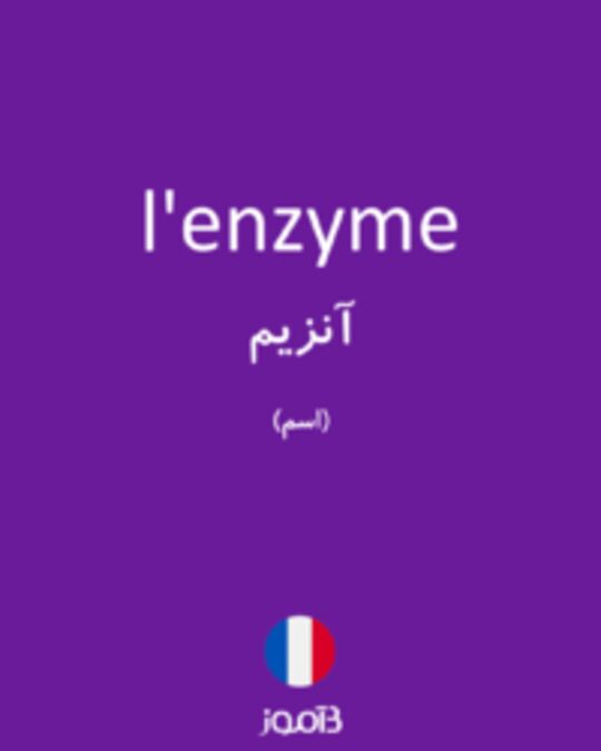  تصویر l'enzyme - دیکشنری انگلیسی بیاموز